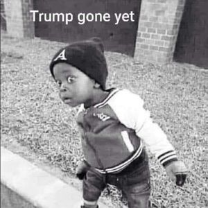 Meet your Posher, Ayan